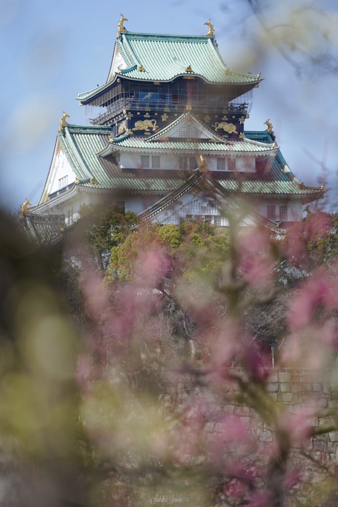 osakajyo/park