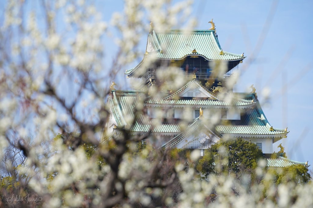 osakajyo/park