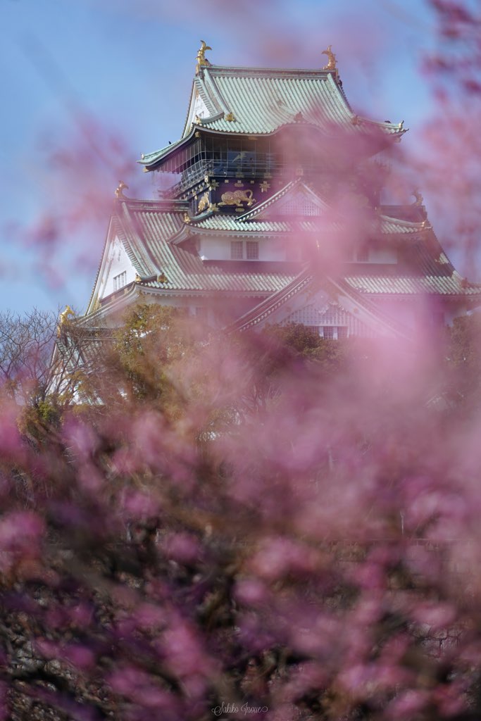 osakajyo/park