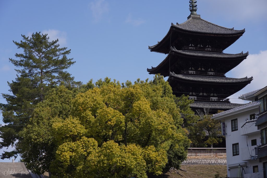 koufukuji