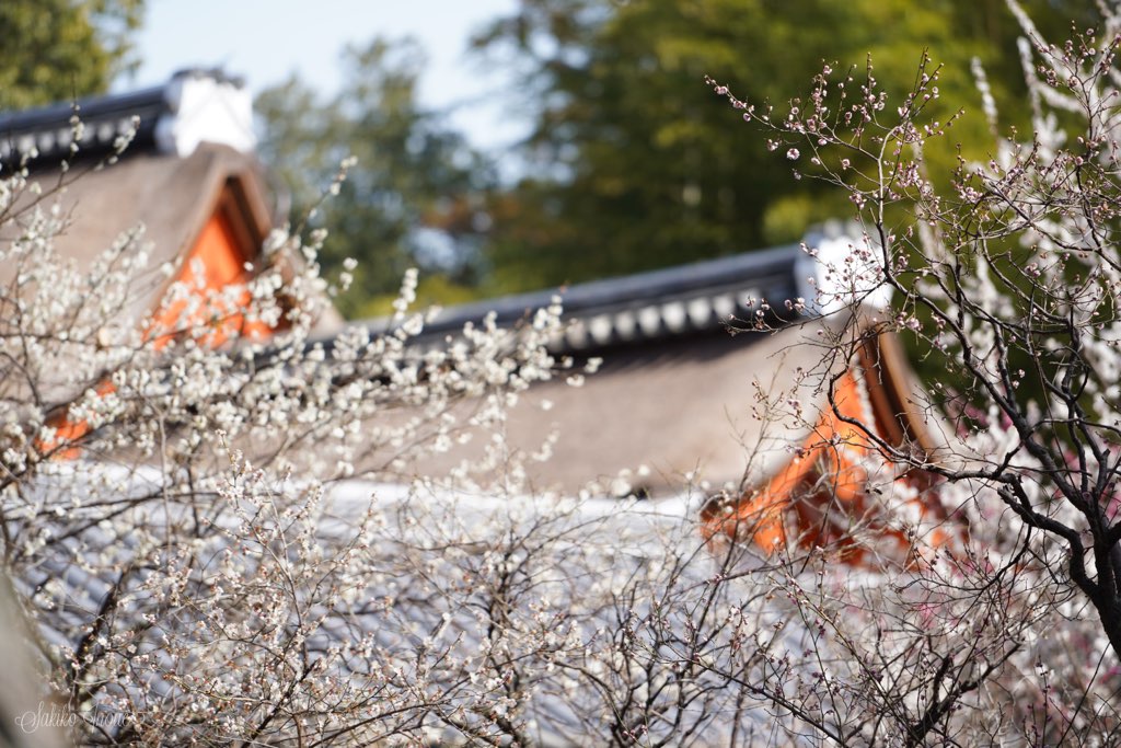 yakusiji