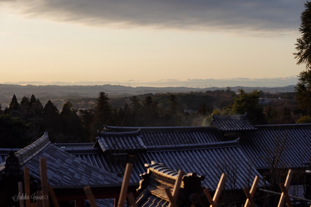 todaiji/omizutori