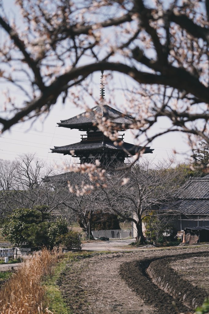 hokkiji