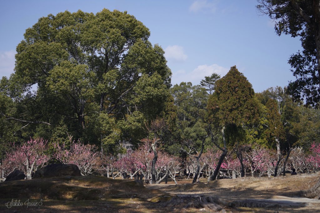 narapark