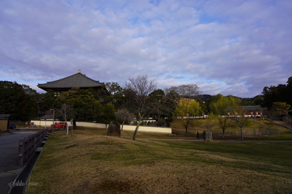 todaiji/omizutori