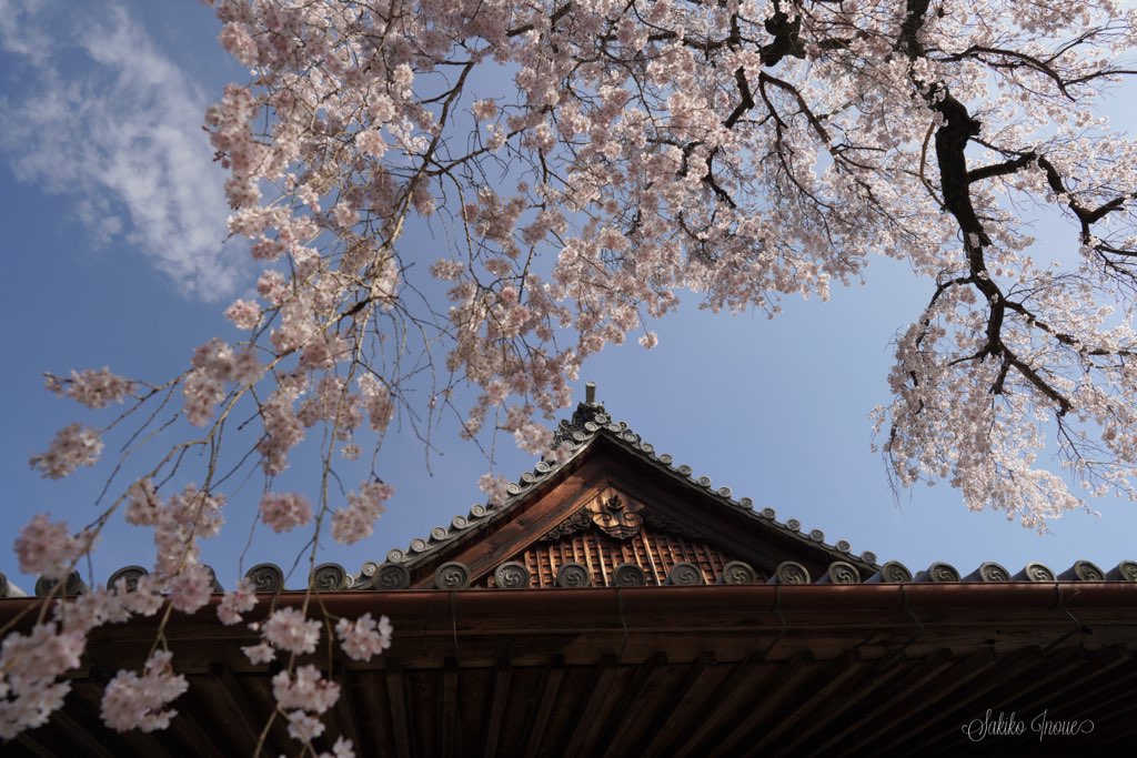 taimadera