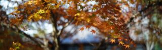 toushoudaiji